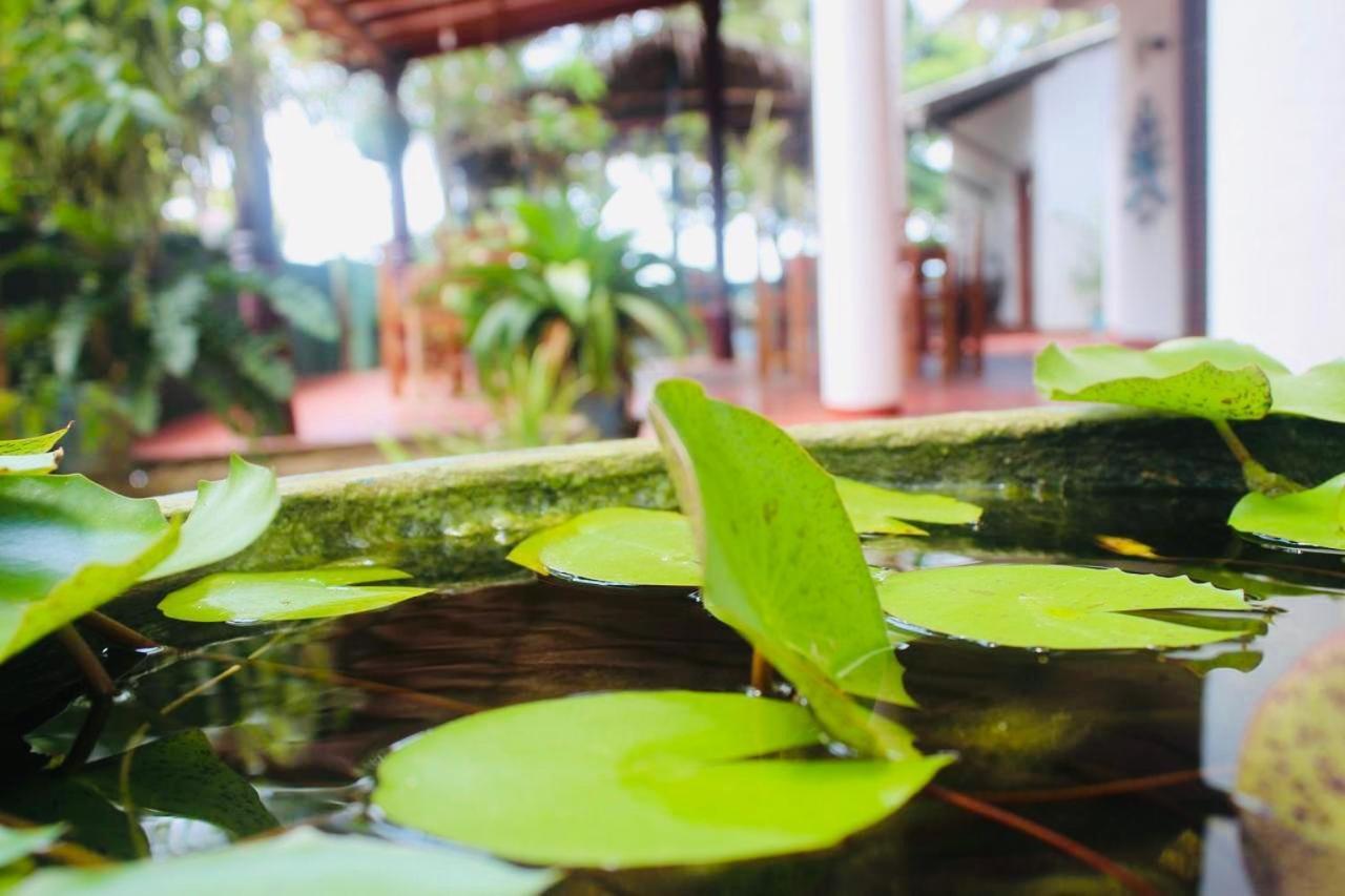 Sunrise Guest House & Restaurant แทนกาลเล ภายนอก รูปภาพ